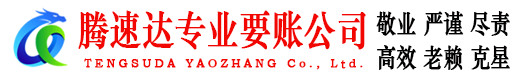 大丰腾速达清债公司